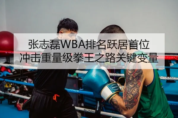 张志磊WBA排名跃居首位 冲击重量级拳王之路关键变量